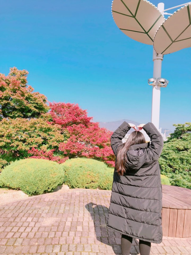 KakaoTalk_20181111_203723574.jpg
