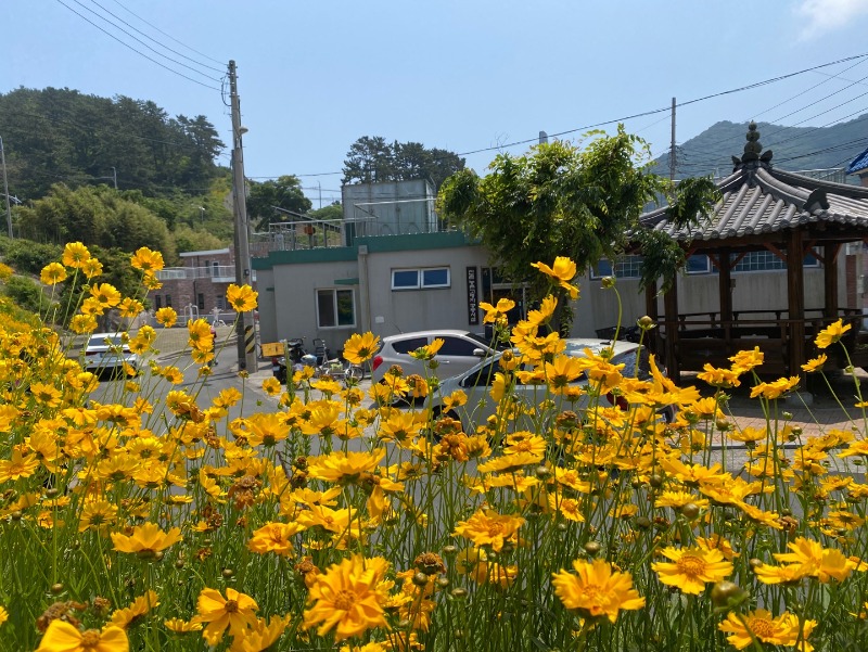 KakaoTalk_20250602_093412762_13.jpg