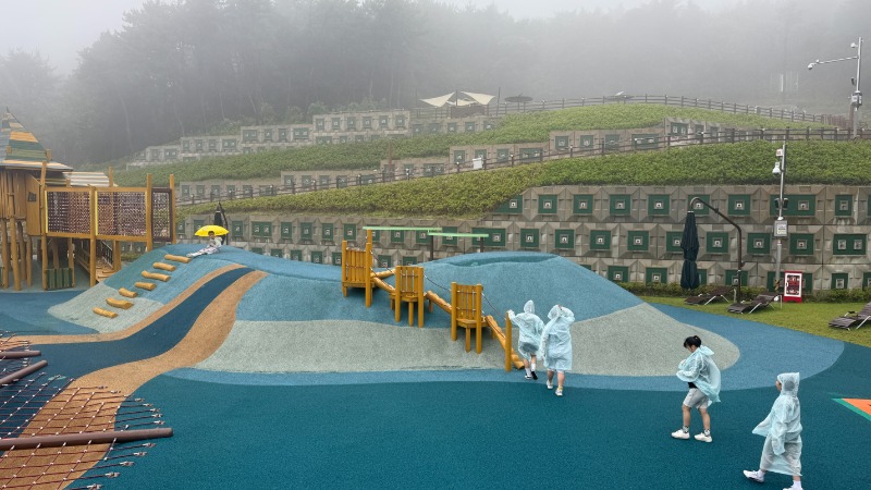 KakaoTalk_20250630_110757104_20.jpg