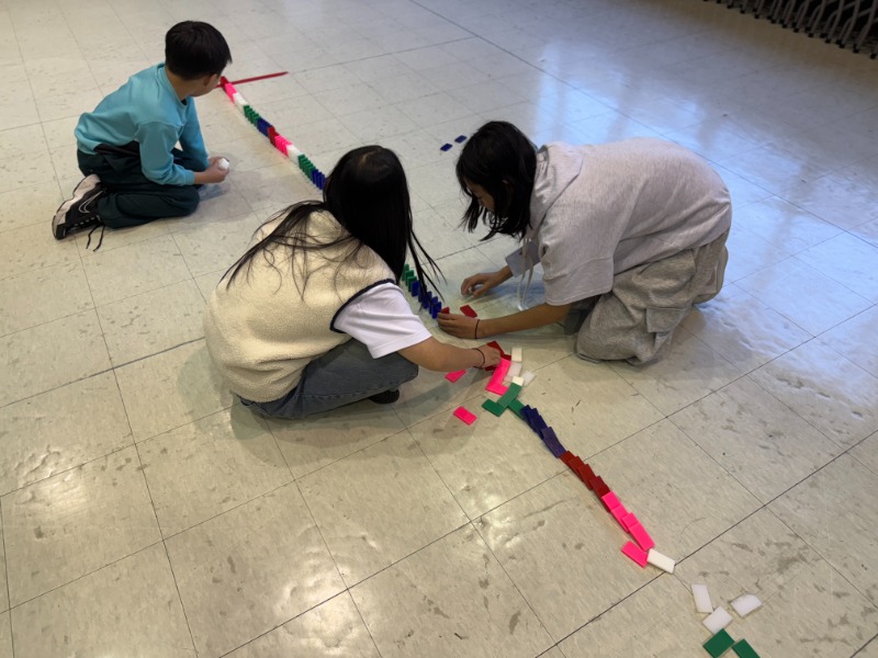 릴레이 쌓기 도중 넘어진 도미노.jpg