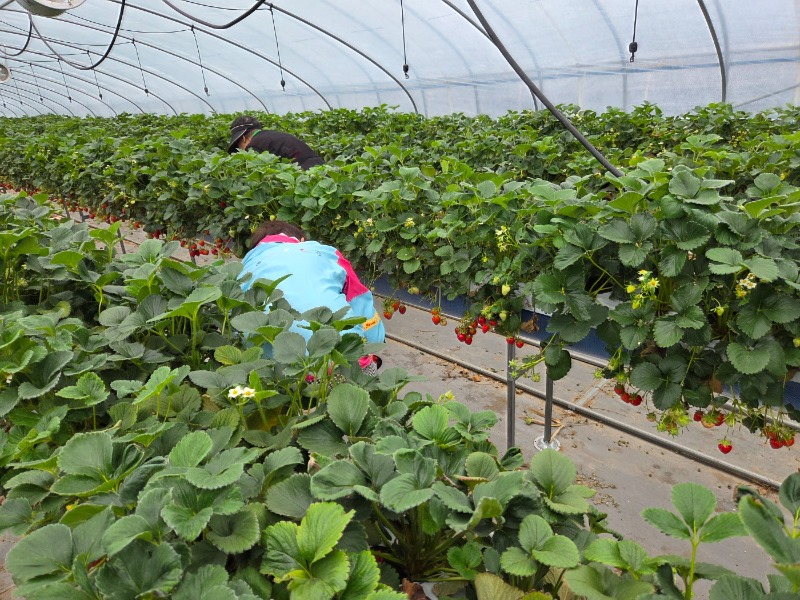 어르신 야외나들이 사진3.jpg